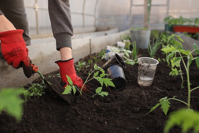 Køkkenhaveplanlægning i byen: Hvordan du kan dyrke grøntsager i små rum